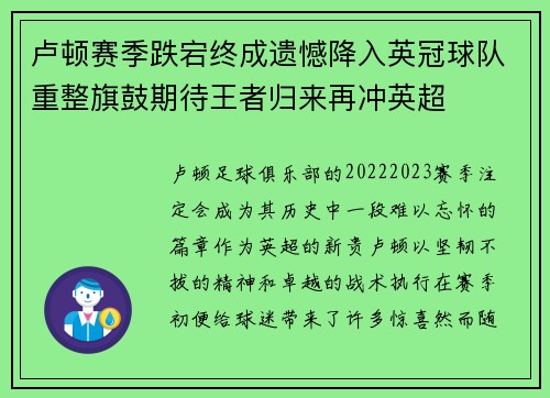 卢顿赛季跌宕终成遗憾降入英冠球队重整旗鼓期待王者归来再冲英超